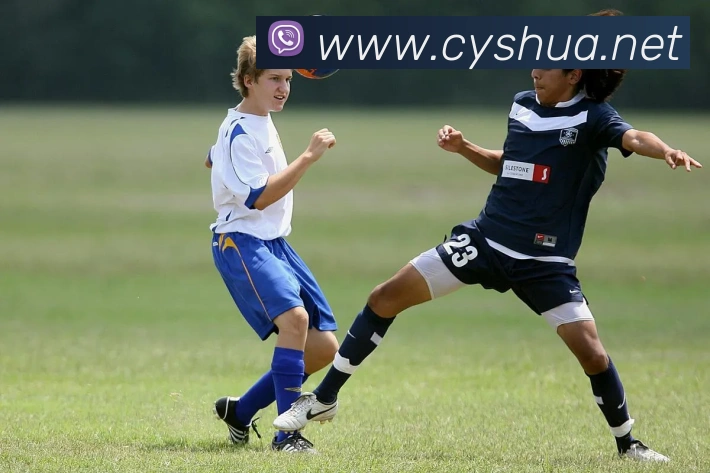 多媒体互动体验